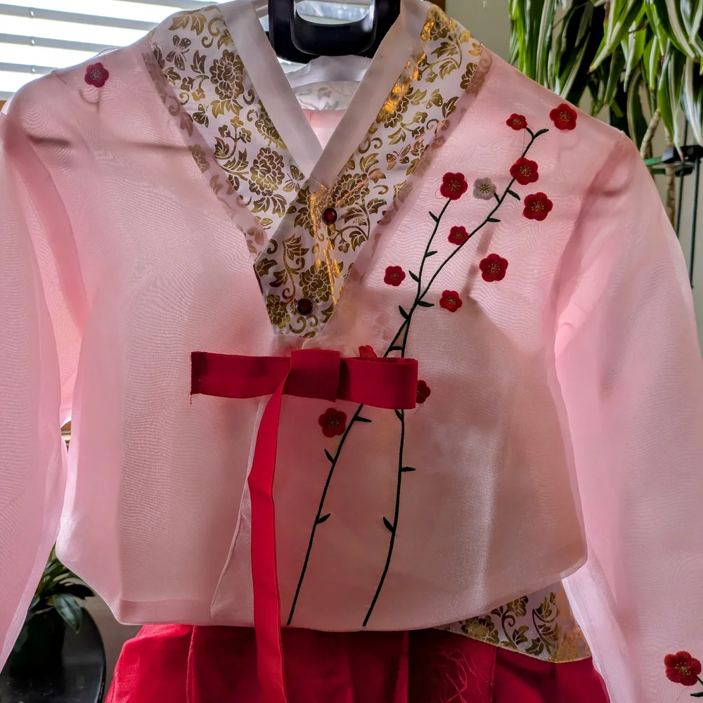 Hanbok Women Red And Pink Hanbok - Picture 2 of 9